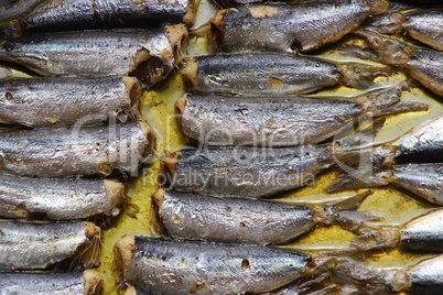 baked sardines