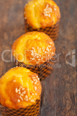 fresh baked muffin