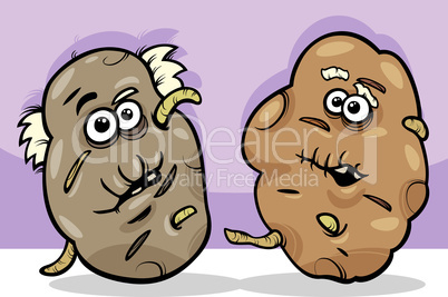 old potatoes cartoon illustration
