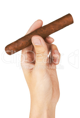 cigar