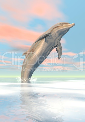 freedom of the dolphin - 3d render
