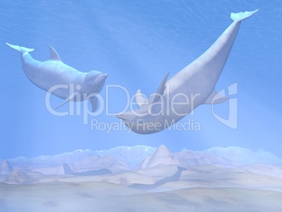 dolphins playing underwater - 3d render
