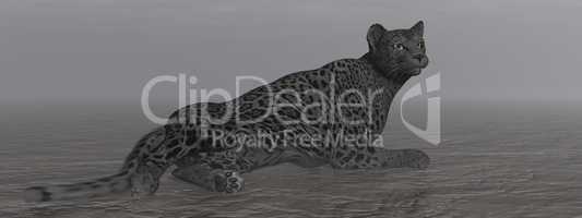 black jaguar resting - 3d render
