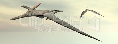 pteranodon dinosaurs flying - 3d render