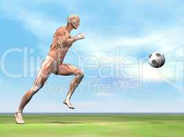 muscles of soccer player - 3d render
