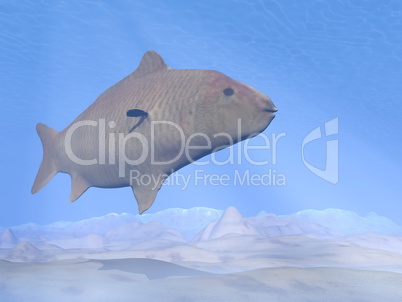 carp fish underwater - 3d render