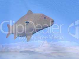 carp fish underwater - 3d render
