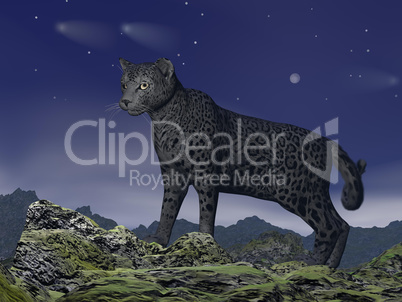 black jaguar watching - 3d render
