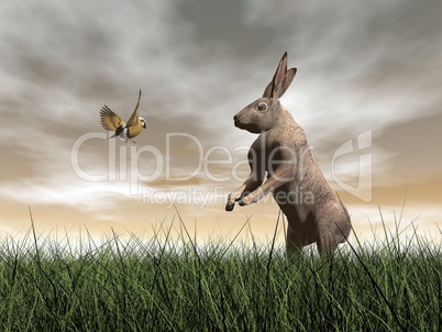 hare and bird talk - 3d render