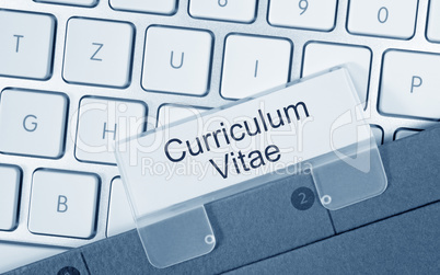 curriculum vitae