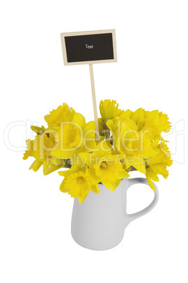 daffodils in vase