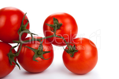 red tomatoes on a branch