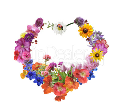 assorted flowers in heart shape