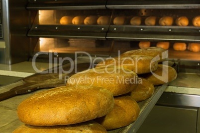 baked bread out of the oven in a bakery