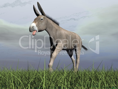 angry donkey - 3d render