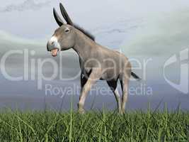 angry donkey - 3d render