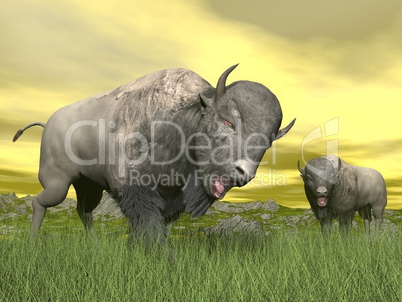 bisons in nature - 3d render