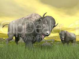 bisons in nature - 3d render