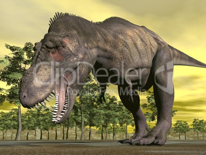 tyrannosaurus angry - 3d render
