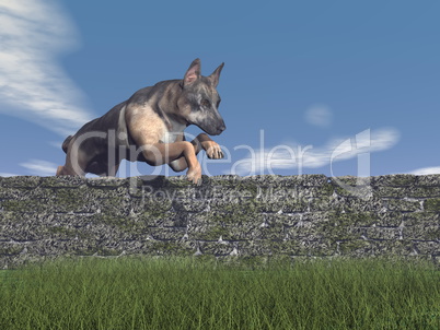 german shepherd dog jumping - 3d render