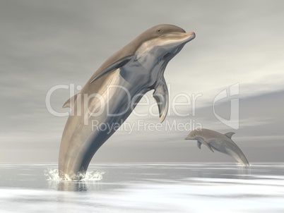 freedom of the dolphins - 3d render