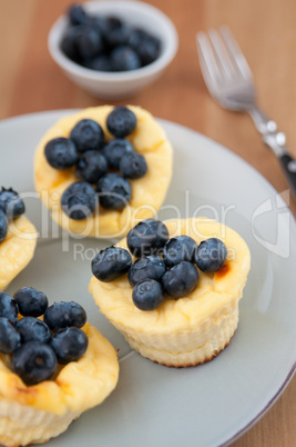 Käsekuchen Muffins mit Heidelbeeren