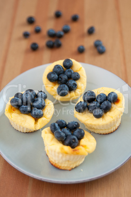 Käsekuchen Muffins mit Heidelbeeren