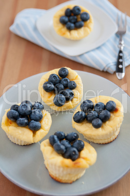 Käsekuchen Muffins mit Heidelbeeren