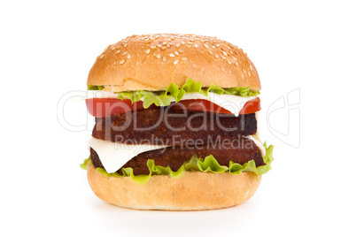 big hamburger on a white background