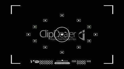 Camera viewfinder with exposure and camera settings.