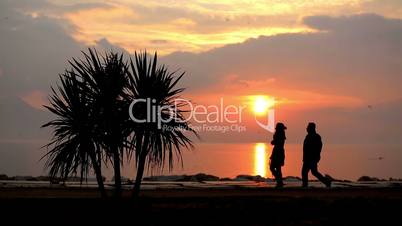 couple walking sea side at sunset
