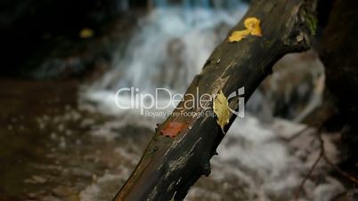 Autumn River waterfall