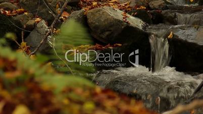 Autumn River stones waterfall focus to front plant