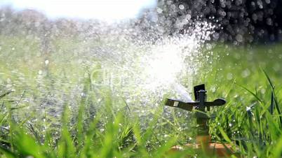 Water sprinkler watering grass in park.