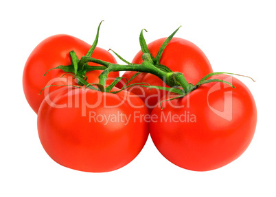 bunch  tomatoes