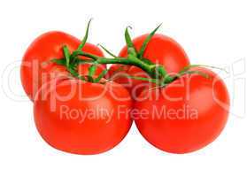 bunch  tomatoes
