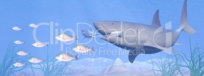 shark eating - 3d render