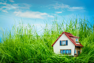 house on the green grass