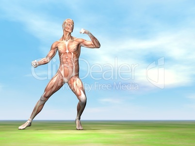 male musculature ready to fight - 3d render