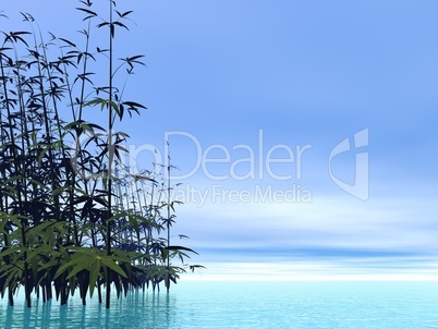 bamboos - 3d render