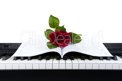 piano keys and rose flower on note book