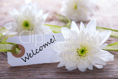 flower background with welcome