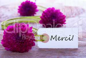 green purple baclground with merci