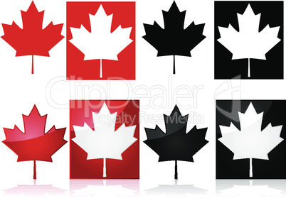 Canadian maple leaf