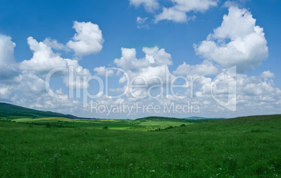 grass and sky