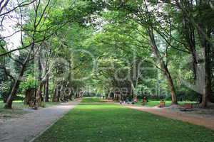 people have a rest in park with greater trees