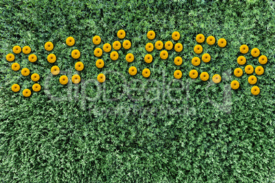 inscription of yellow flowers on a background of grass