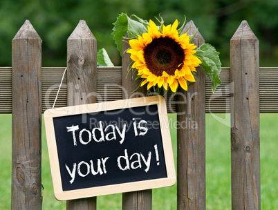 today is your day !