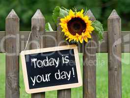 today is your day !