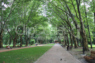 people have a rest in park with greater trees
